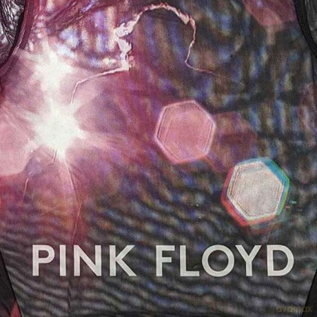 Pink Floyd: Ladies Long Sleeve Crop Top: Knebworth '90 (Black) (Mesh) (X-Small)