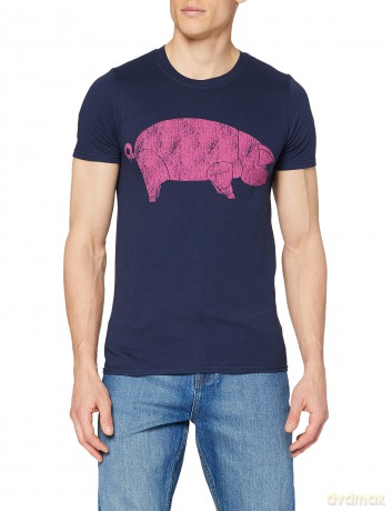 Pink Floyd: Men's Tee: AWBDG with Back Printing (Large)