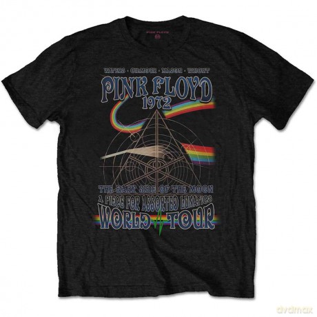 Pink Floyd: Men's Tee: Assorted Lunatics (Small)