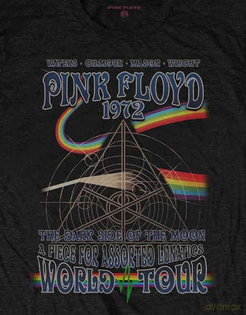 Pink Floyd: Men's Tee: Assorted Lunatics (X-Large)
