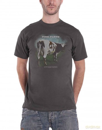 Pink Floyd: Men's Tee: Atom Heart Mother Fade (Medium)