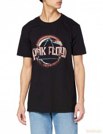 Pink Floyd: Men's Tee: Dark Side of the Moon (Small)