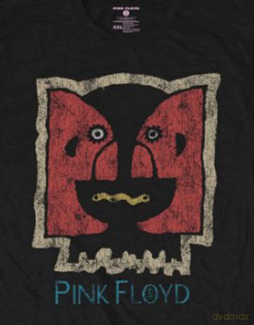Pink Floyd: Men's Tee: Division Bell Vintage (Small)