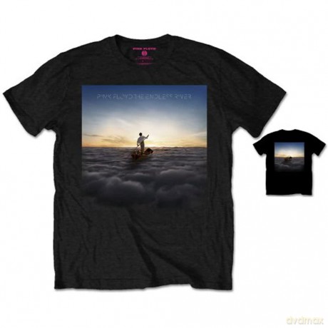 Pink Floyd: Men's Tee: Endless River with Back Printing (Large)