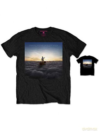 Pink Floyd: Men's Tee: Endless River with Back Printing (Large)