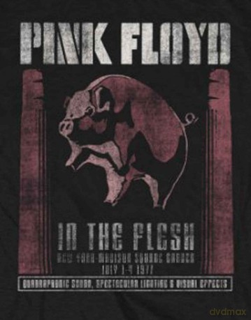 Pink Floyd: Men's Tee: In the Flesh (Small)
