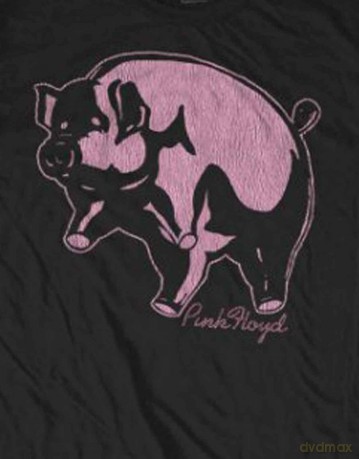 Pink Floyd: Men's Tee: Pig (Small)