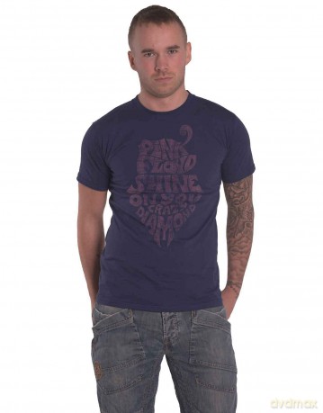 Pink Floyd: Men's Tee: SOYCD Vintage (Medium)