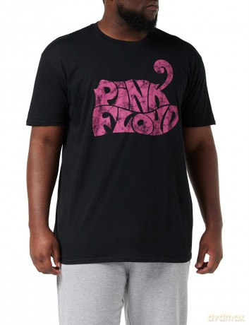 Pink Floyd: Men's Tee: Swirl Logo (XX-Large)
