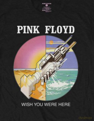Pink Floyd: Men's Tee: WYWH Circle Icons (Large)