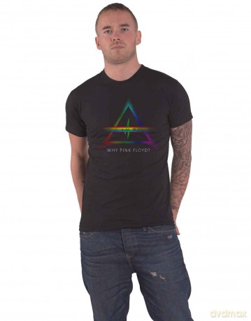 Pink Floyd: Men's Tee: Why with Back Printing (Large)