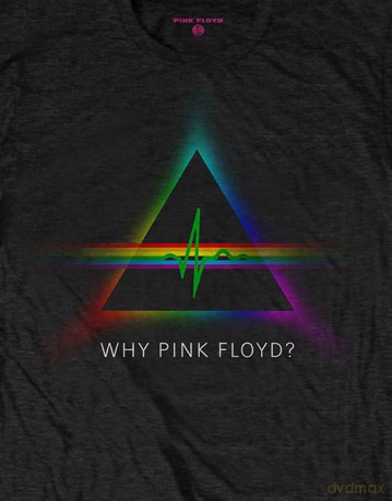 Pink Floyd: Men's Tee: Why with Back Printing (Large)