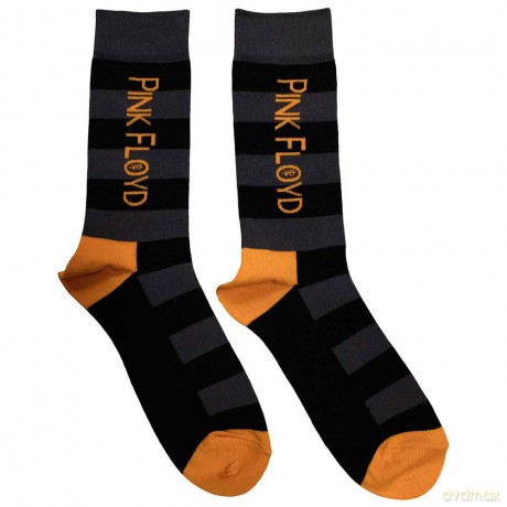 Pink Floyd: Unisex Ankle Socks: Orange Logo (Black) (UK Size 6 - 11)