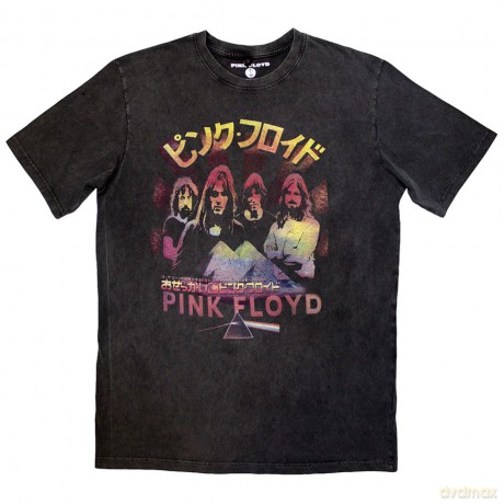 Pink Floyd: Unisex Stone Wash T-Shirt: Space Prism (Black) (Small)
