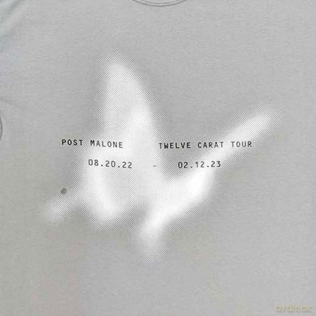 Post Malone: Unisex T-Shirt: Butterfly (Grey) (Ex-Tour) (Medium)