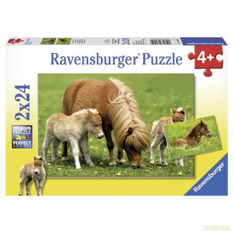 RAVEN 2X24 EL. Cudowne Koniki Pony [PUZZLE]