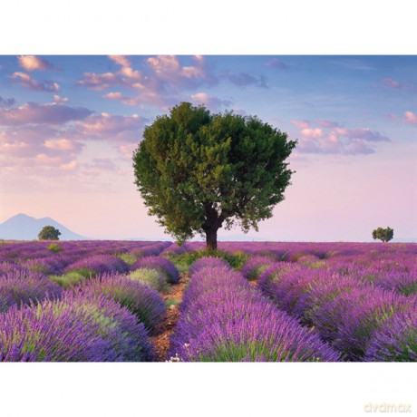 RAVENSBURGER 500 el. Południowa Francja [PUZZLE]