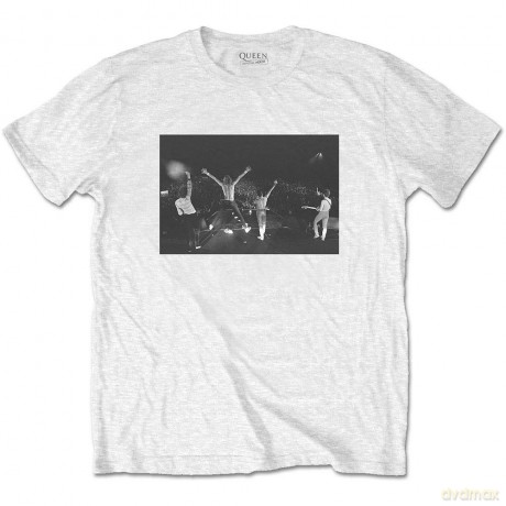 Queen: Unisex Tee: Crowd Shot (Large)