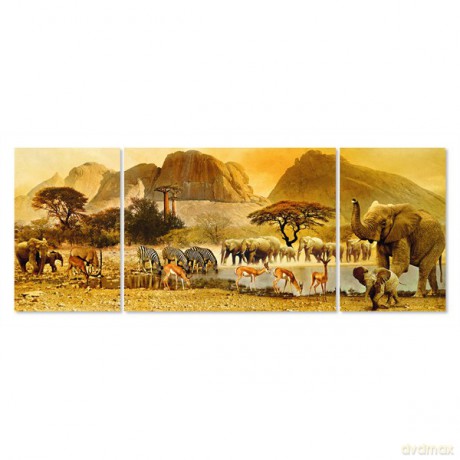 RAVEN 1000 EL. Podróże po Afryce [PUZZLE]