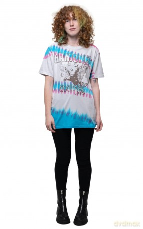 Ramones: Unisex T-Shirt: Eagle (Natural) (Wash Collection) (Large)