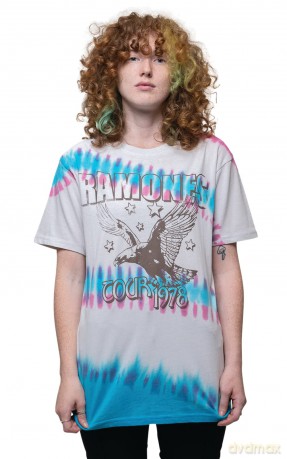 Ramones: Unisex T-Shirt: Eagle (Natural) (Wash Collection) (Medium)