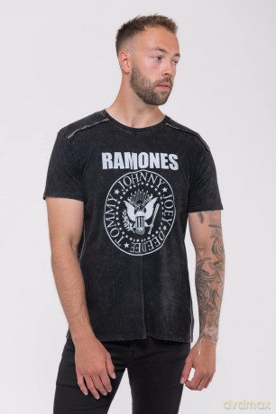 Ramones: Unisex T-Shirt: Presidential Seal 1 (Black) (Wash Collection) (Large)