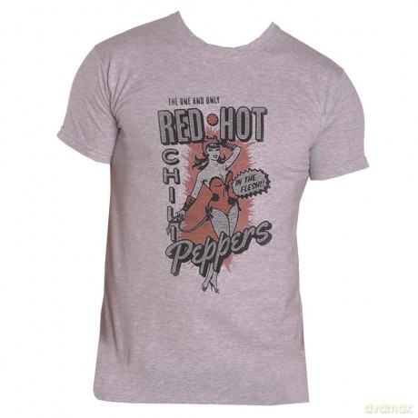 Red Hot Chili Peppers: Unisex T-Shirt: In The Flesh (Grey) (Large)