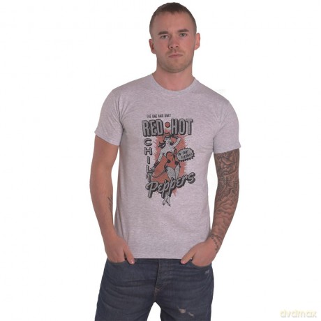 Red Hot Chili Peppers: Unisex T-Shirt: In The Flesh (Grey) (XX-Large)