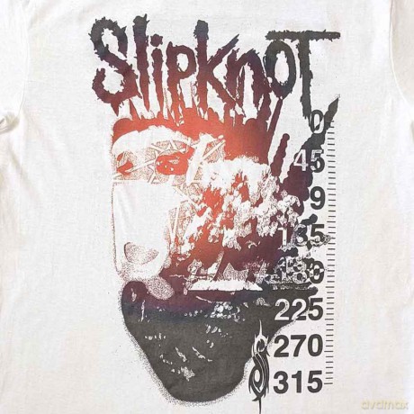 Slipknot: Unisex T-Shirt: The End (White) (Back Print) (Small)