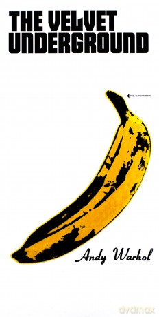 Velvet Underground: Peel Slowly And See [BOX] [5CD]