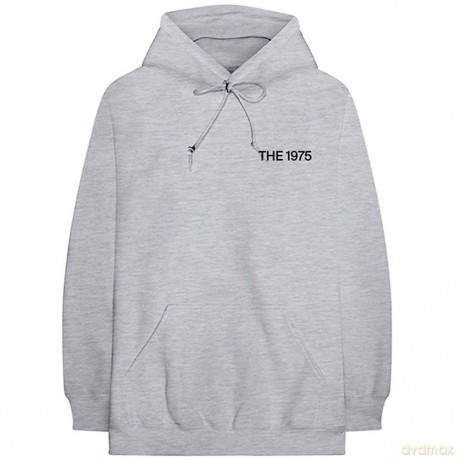 1975 - The: The 1975 Unisex Pullover Hoodie: ABIIOR MFC (Back Print) (Large)