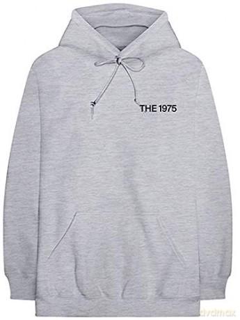 1975 - The: The 1975 Unisex Pullover Hoodie: ABIIOR MFC (Back Print) (Large)