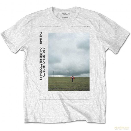 1975 - The: The 1975 Unisex Tee: ABIIOR Side Fields (Small)