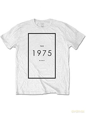 1975 - The: The 1975 Unisex Tee: Original Logo (Medium)