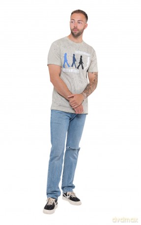 The Beatles: Unisex T-Shirt: Abbey Road Colours (Grey) (Wash Collection) (Large)
