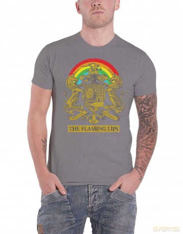 Flaming Lips - The: The Flaming Lips Unisex T-Shirt: Virtuous Industrious (Grey) (XX-Large)