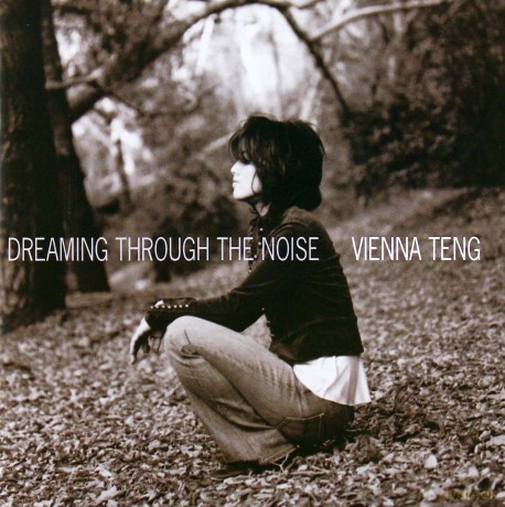 Vienna Teng: Dreaming Through The Noise [CD]