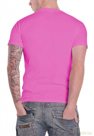 Sex Pistols - The: The Sex Pistols Unisex T-Shirt: No Future (Pink) (Medium)