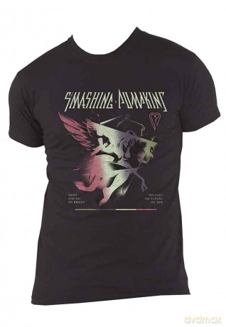 Smashing Pumpkins - The: The Smashing Pumpkins Unisex T-Shirt: Shiny (Black) (Medium)