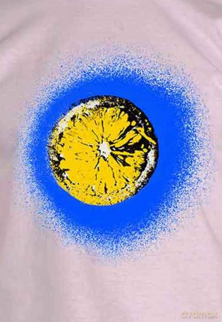 Stone Roses - The: The Stone Roses Men's Tee: Lemons Grid (Medium)