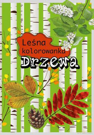 Leśna Kolorowanka Drzewa [KSIĄŻKA]