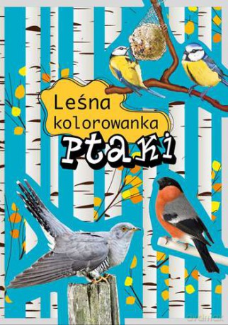 Leśna Kolorowanka Ptaki [KSIĄŻKA]