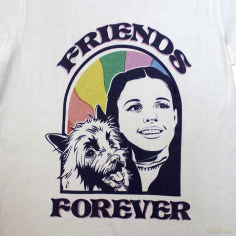 Wizard Of Oz - The: The Wizard of Oz Unisex T-Shirt: Friends Forever (White) (X-Large)