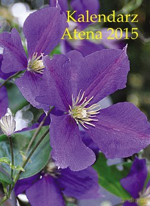 Kalendarz 2015 Atena Oprawa Papierowa [KSIĄŻKA]