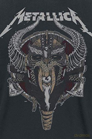 Metallica: VIKING