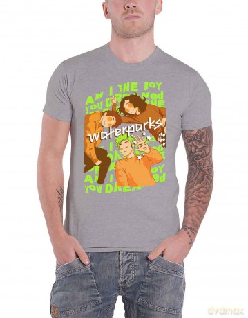 Waterparks: Unisex T-Shirt: Dreamboy (Grey) (Large)