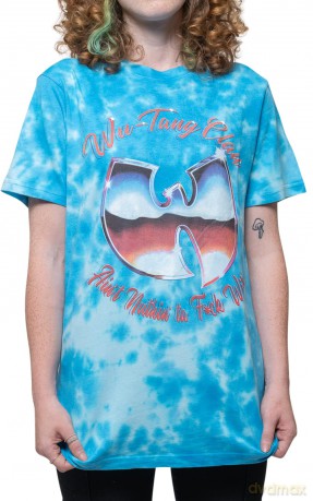 Wu-Tang Clan: Unisex T-Shirt: ANTFW (Blue) (Wash Collection) (Small)