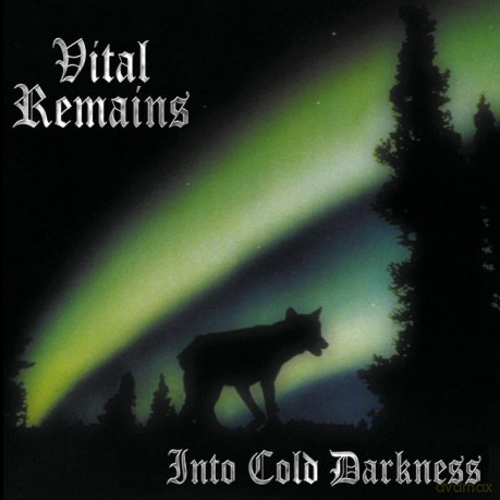 Vital Remains: Into Cold Darkness (Green) [Winyl]