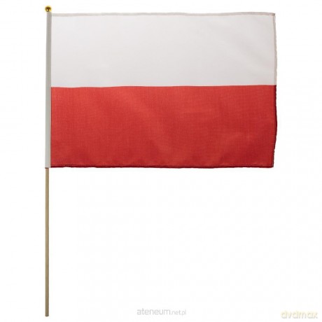 Flaga narodowa mała