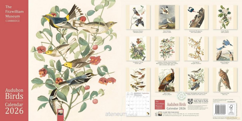Kalendarz 2026 ścienny Audubon Birds Fitzwilliam [KALENDARZ]